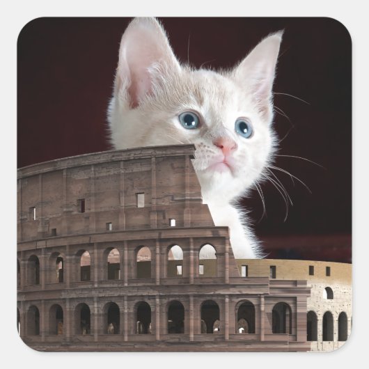 roman kat vierkante sticker (Voorkant)