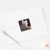 roman kat vierkante sticker (Envelop)