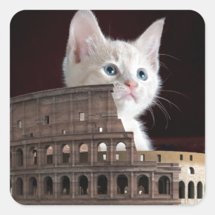 roman kat vierkante sticker