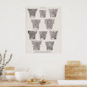 Roman Kolommen Korinthian Style Architecture Poster (Keuken)
