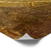 Roman Musicus Poster (Hoek)