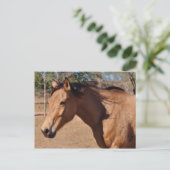 Roman Nose Briefkaart (Staand voorkant)