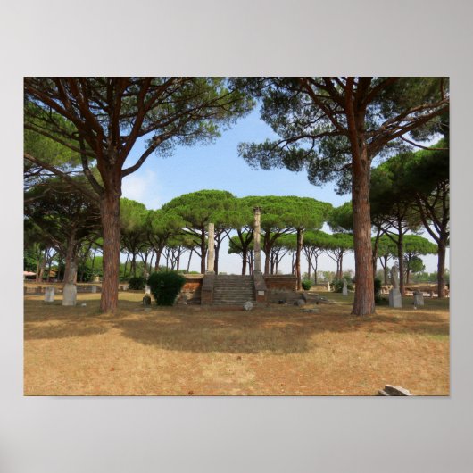 Roman Ruins van Ostia Antica Poster (Voorkant)