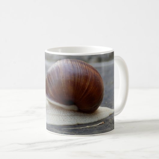 Roman Snail Bug Mok (Voorkant rechts)