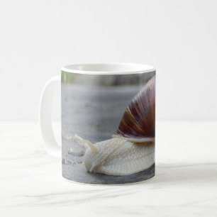 Roman Snail Bug Mok