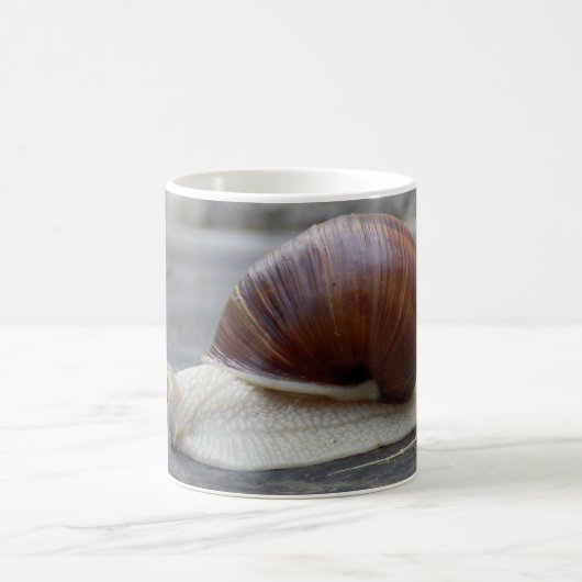 Roman Snail Bug Mok (Center)