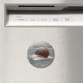 Roman Snail Magnet (Insitu (Vaatwasser))