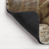 Roman Snail Mouse Mat Muismat (Hoek)