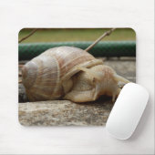 Roman Snail Mouse Mat Muismat (Met muis)