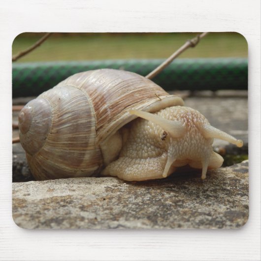 Roman Snail Mouse Mat Muismat (Voorkant)