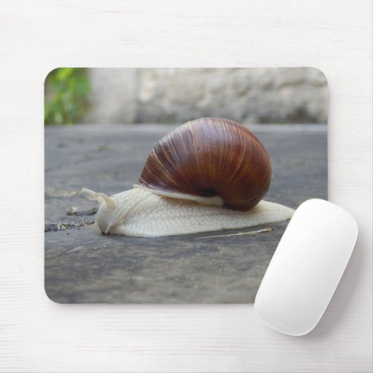 Roman Snail Mouse Mat Muismat (Met muis)