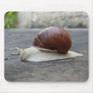 Roman Snail Mouse Mat Muismat