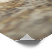 Roman Snail-Poster Poster (Hoek)