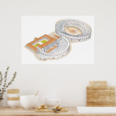 Roman theater en amfitheater. Wederopbouw. Poster (Keuken)