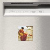 Roman Vrouw die met haar Favoriete Kat speelt Magneet (Insitu (Vaatwasser))