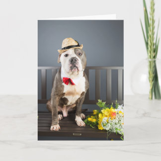 Romance card kaart