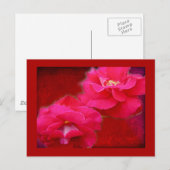 Romance en rode rozen briefkaart (Voorkant / Achterkant)