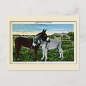 Romance in het zuidwesten, liefde briefkaart (Voorkant)