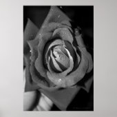 Romance Poster (Voorkant)