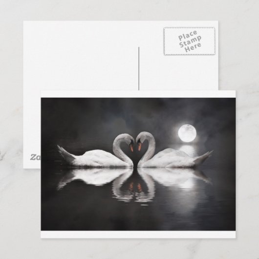Romance Swan Briefkaart (Voorkant / Achterkant)