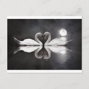 Romance Swan Briefkaart