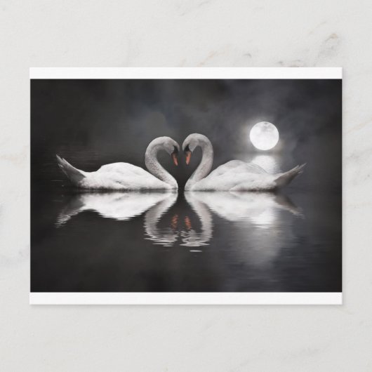Romance Swan Briefkaart (Voorkant)