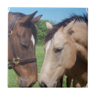 Romance van paarden tegeltje