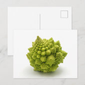 Romanesco broccoli briefkaart (Voorkant / Achterkant)