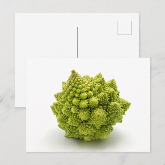 Romanesco broccoli briefkaart (Voorkant / Achterkant)