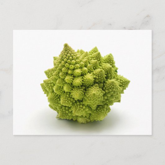 Romanesco broccoli briefkaart (Voorkant)