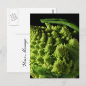 Romanesco Broccoli Fractals Briefkaart (Voorkant / Achterkant)