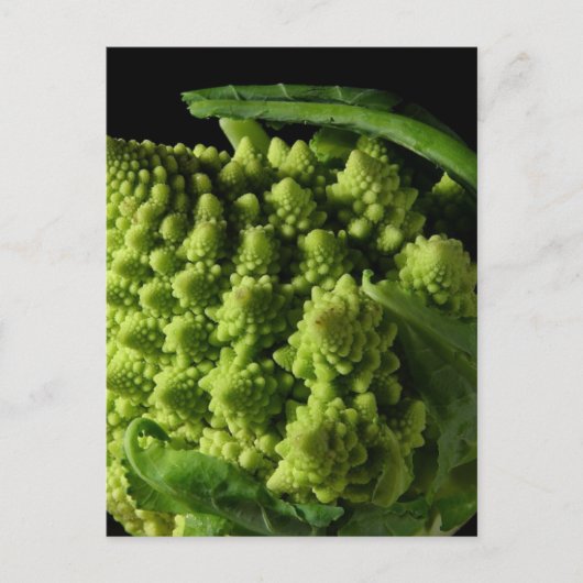 Romanesco Broccoli Fractals Briefkaart (Voorkant)