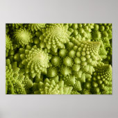 Romanesco broccoli plant sluiting poster (Voorkant)