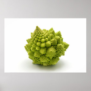 Romanesco broccoli poster