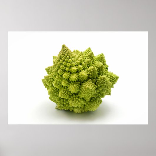 Romanesco broccoli poster (Voorkant)