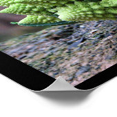 Romanesco Broccoli Vegetable Poster (Hoek)