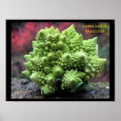 Romanesco Broccoli Vegetable Poster (Voorkant)