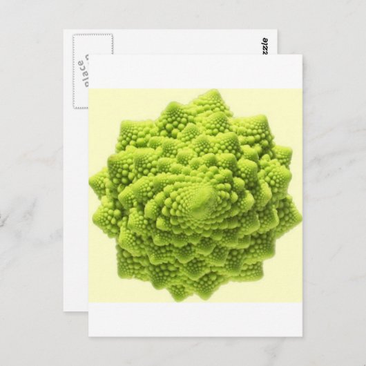 romanesco-phi briefkaart (Voorkant / Achterkant)