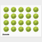 Romanesco-Phi Ronde Sticker (Vel)