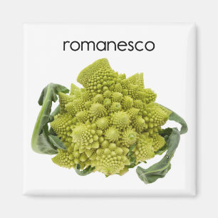 Romanesco Refkoelkast Magnet