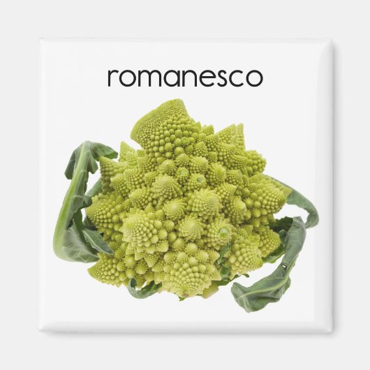 Romanesco Refkoelkast Magnet (Voorkant)