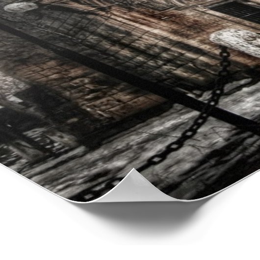 Romanescu Poster (Hoek)