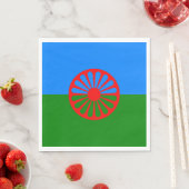 Romani Flag Servet (Insitu)