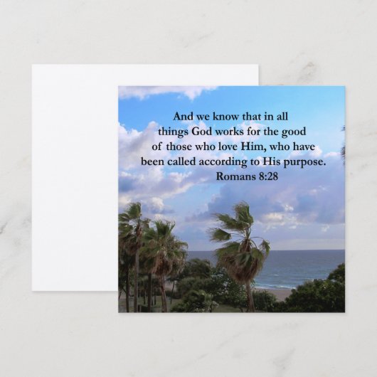 ROMANS INSPIREREN 8:28 (Voorkant / Achterkant)