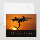 Romantic African Dream sunset foto met tekst Briefkaart (Voorkant / Achterkant)