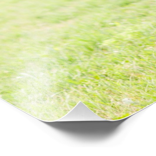 Romantic Black Love Script Elegant Wedding Foto Afdruk (Hoek)