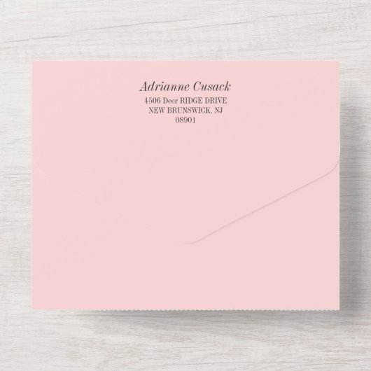 Romantic Bleek roze foto bruiloft All In One Uitnodiging (Achterkant)