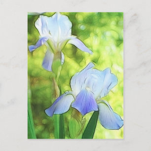 Romantic Blue Iriss Briefkaart