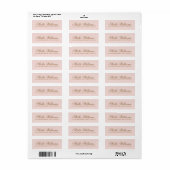 Romantic blush roze kalligrafie script address etiket (Full Sheet)