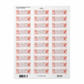 Romantic blush waterverf vlinder bruiloft etiket (Full Sheet)